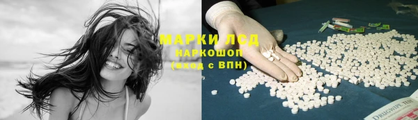шишки Елабуга