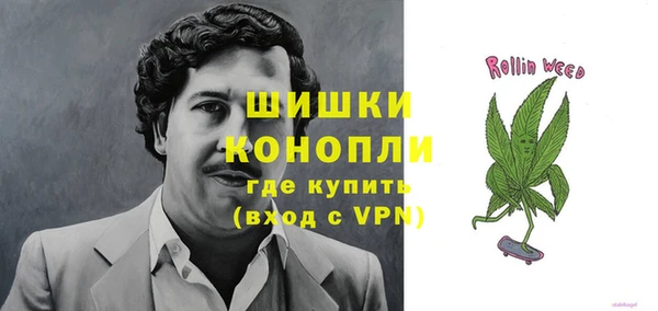амф Дмитровск