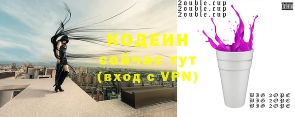 СК Дмитров