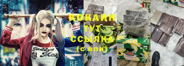 мдма Ельня