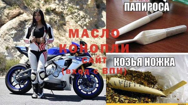СК Дмитров