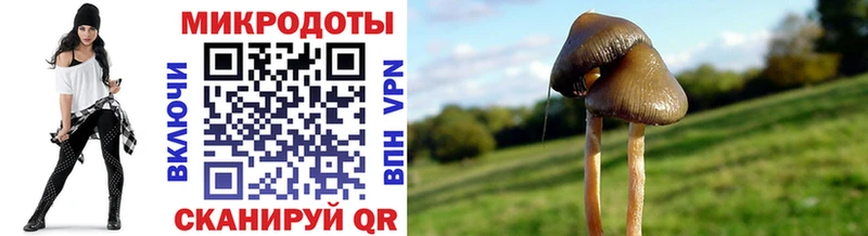 даркнет сайт  Магнитогорск  Псилоцибиновые грибы Cubensis 